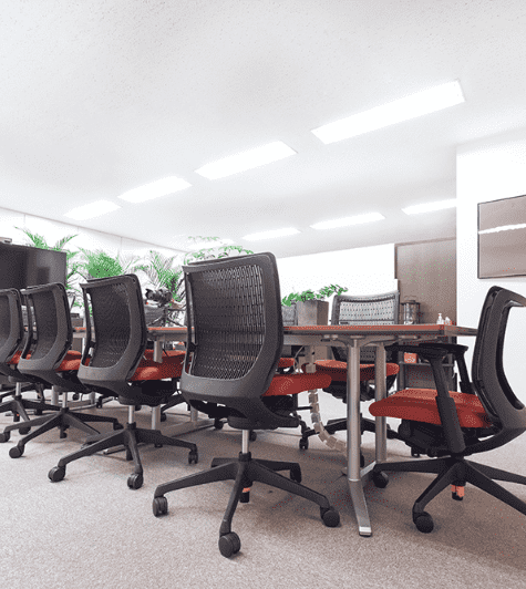 セルフィール イメージ